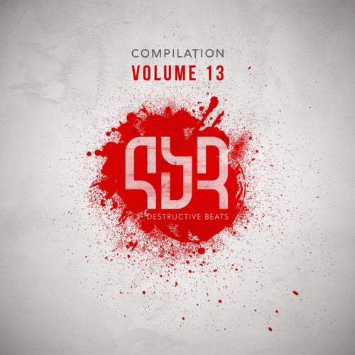 Destructive Compilation, Vol. 13