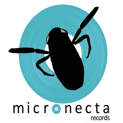 Micronecta Records