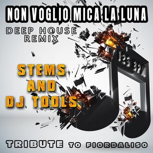 Non voglio mica la luna : Deep House Remix, Stems and DJ Tools, Tribute to Fiordaliso (125 BPM)