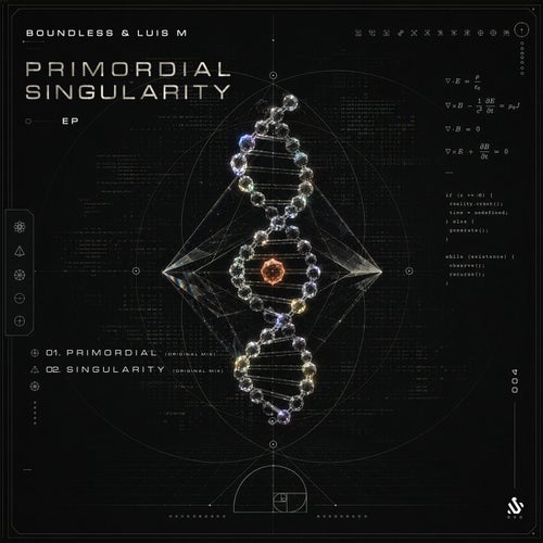 Primordial Singularity