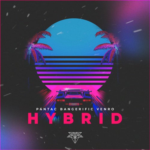 Hybrid