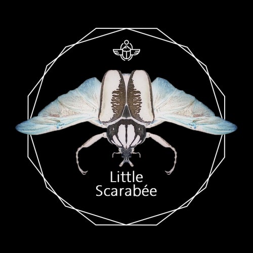 Little Scarabée