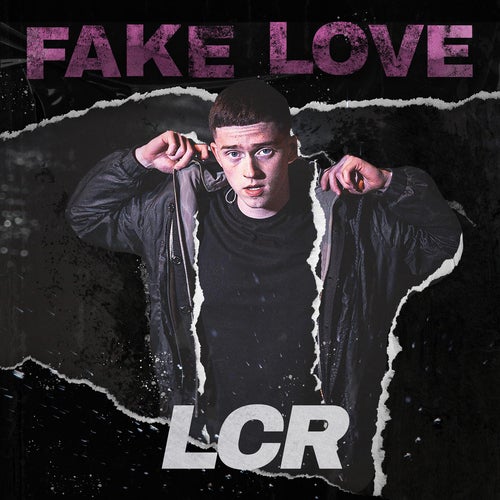 Fake Love