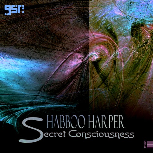  Shabboo Harper - Secret Consciousness (2023) 