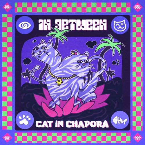 Cat in Chapora