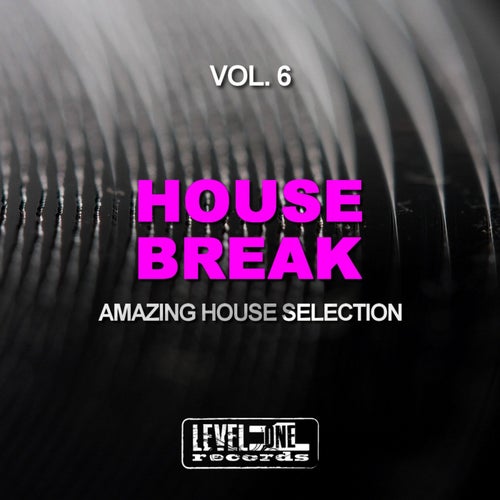House Break, Vol. 6 (Amazing House Selection)