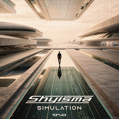 Simulation