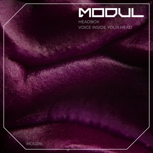 Voice Inside Your Head