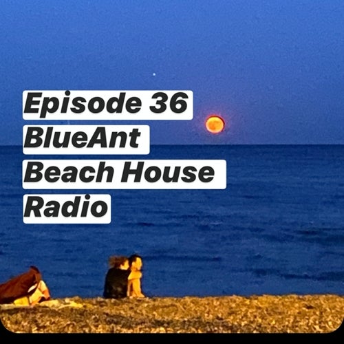 Episode #36 BleuAnt Beach House Radio