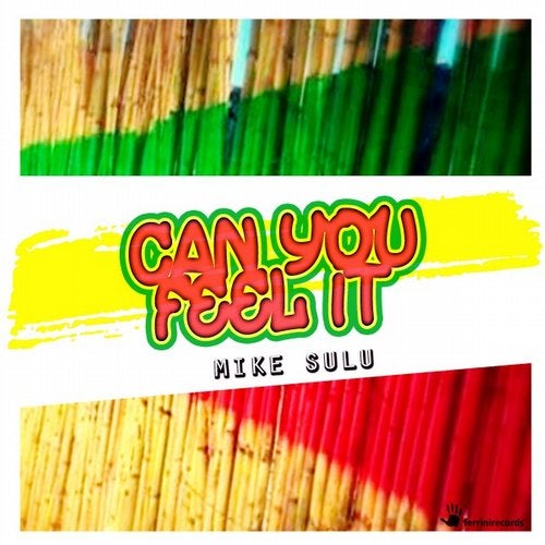 Cover art for Can You Feel It