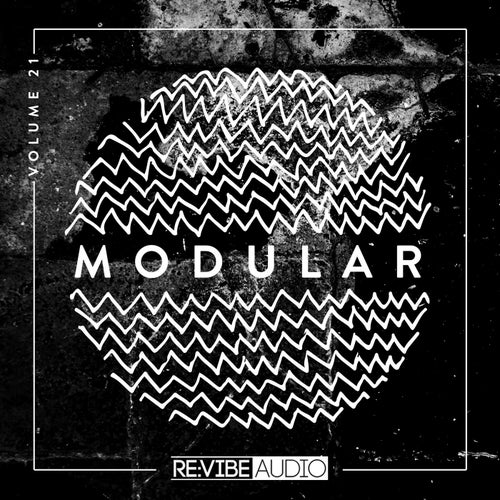 Modular, Vol. 21