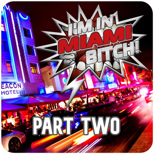I'm in Miami Bitch!, Part Two (Best Clubbing Tech House Tracks)