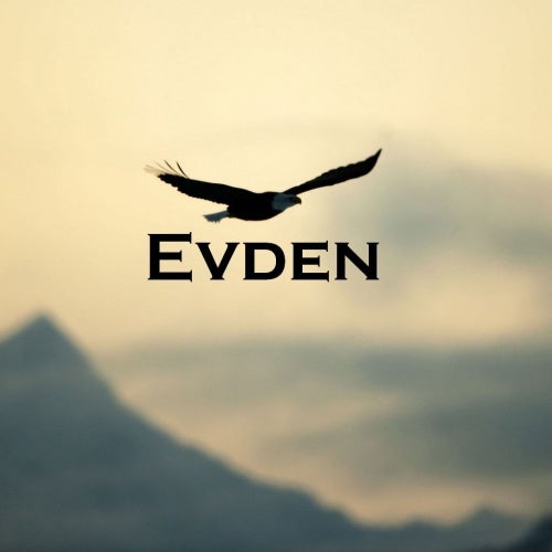 Evden Chart