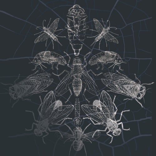 Cover art for Inanna
