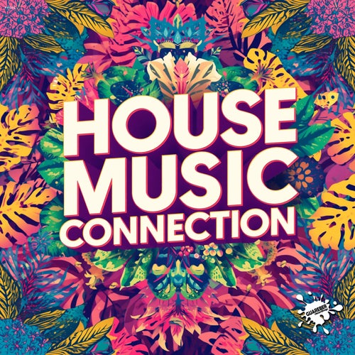 House Music Connection