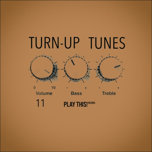 Turn-Up Tunes, Vol.11