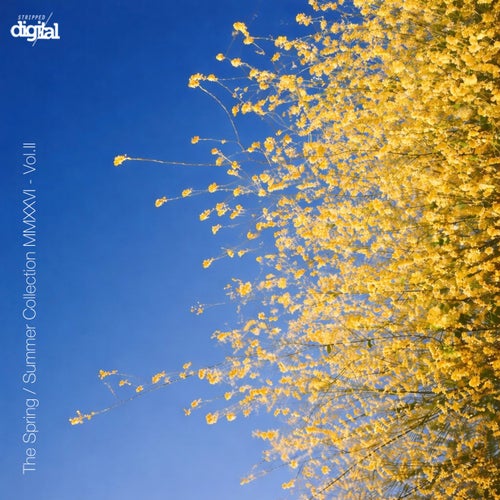 VA - The Spring _ Summer Collection MMXXVI - Volume II 033SDLP FLAC - (Organic House,Progressive House,Melodic House & Techno,Indie Dance,Electronica) Album Cover