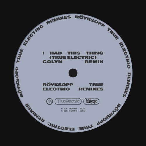 I Had This Thing (feat. Jamie Irrepressible) [Colyn Remix]