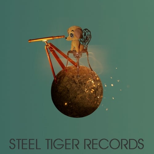 Steel Tiger Records