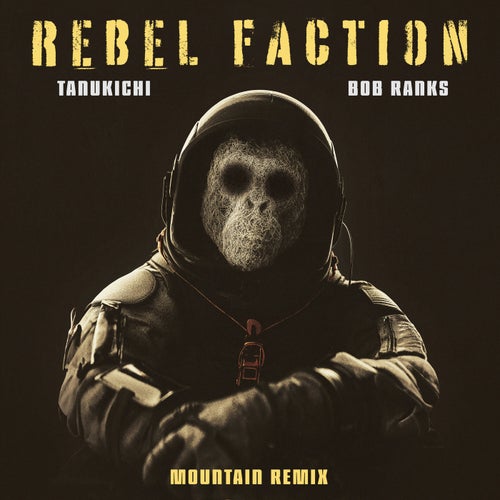 Rebel Faction (Mountain Remix)