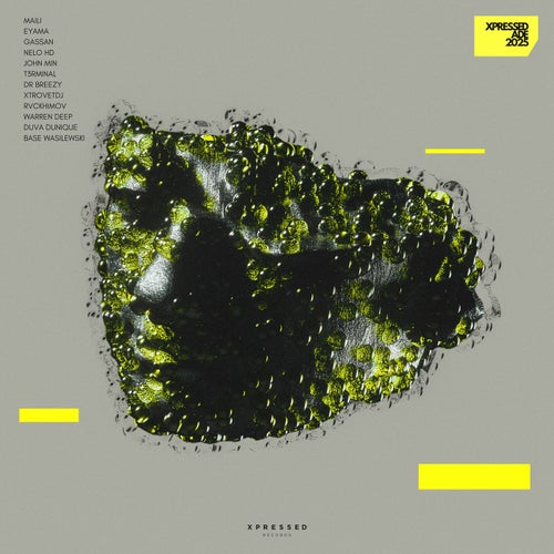 Xpressed ADE 2025