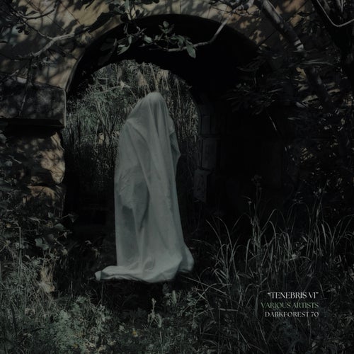 Tenebris VI