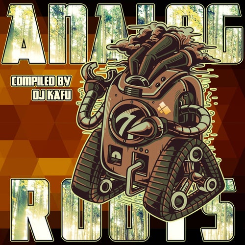 Cover art for Analog Roots