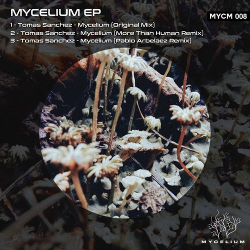  Tomas Sanchez - Mycelium (2023) 
