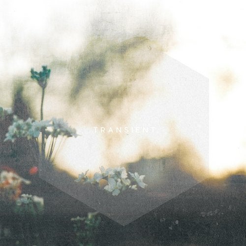 Cover art for Transient EP