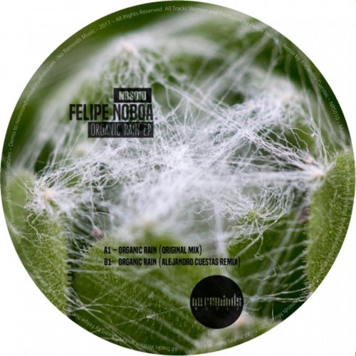 Organic Rain EP