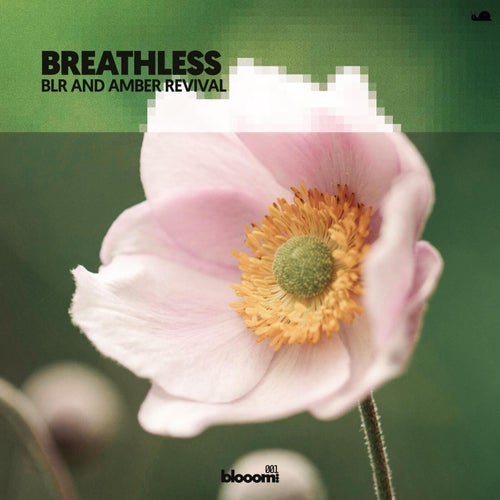 BLR & Amber Revival — Breathless (2026)