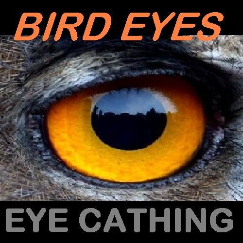 Bird Eyes