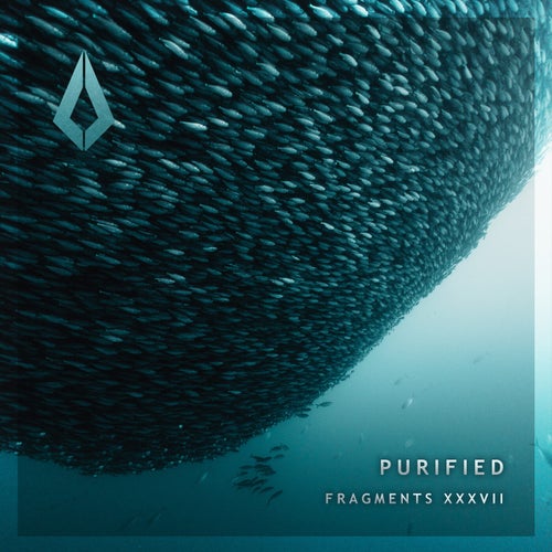 Purified Fragments XXXVII