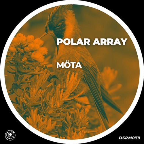 Polar Array