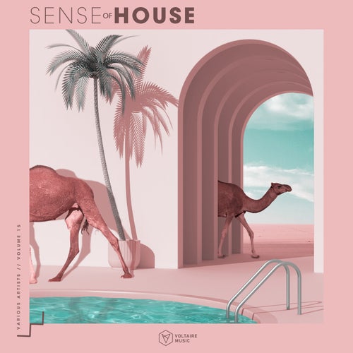 Sense Of House Issue 15 (2025) - House,Deep House,Tech House,UK Garage / Bassline albüm kapağı