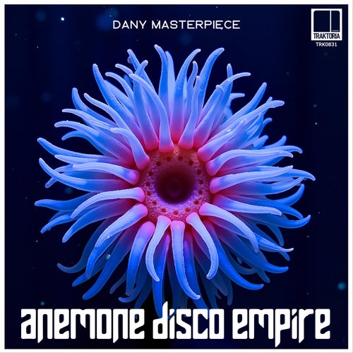 Anemone Disco Empire