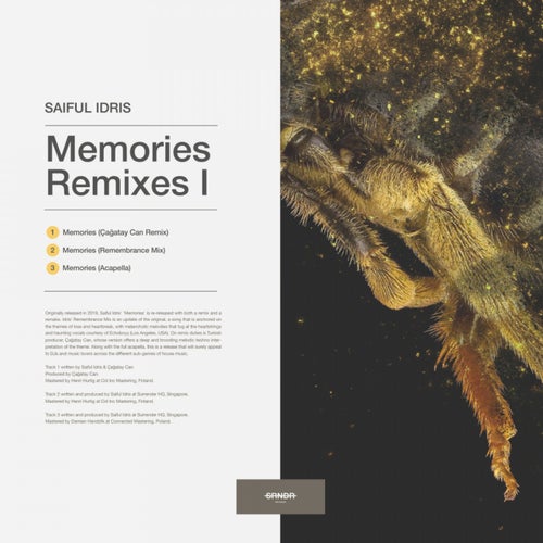 Memories Remixes I