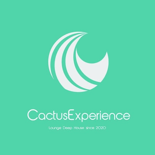Cactus Experience