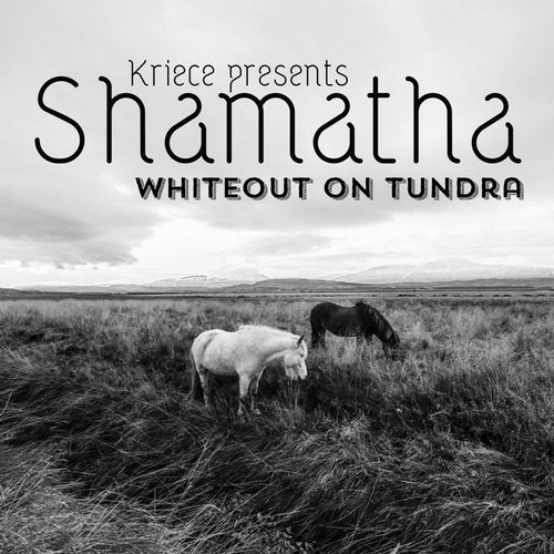 Whiteout On Tundra