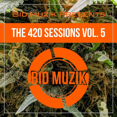 The 420 Sessions, Vol. 5 (2025) - Jackin House,Nu Disco / Disco,House