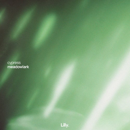 meadowlark (Extended Mix)