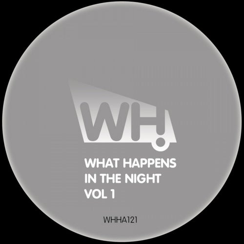 What Happens in the Night Vol 1