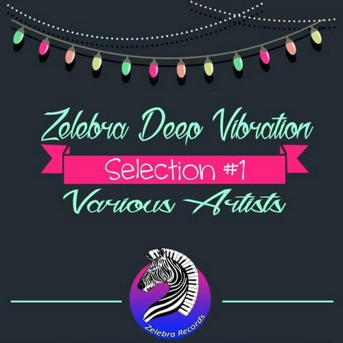 Cover art for Zelebra Deep Vibration - Selection #1