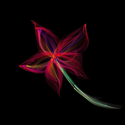 A Flowering Process