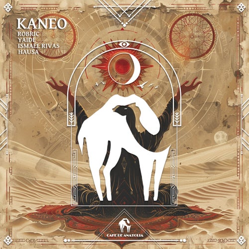 Kaneo