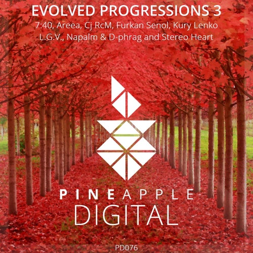 Evolved Progressions 3
