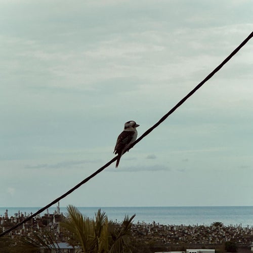if... (feat. Alex Gravett)