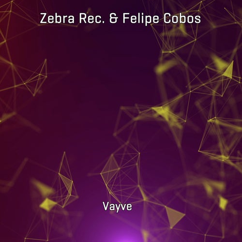 Vayve