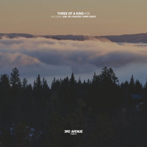Three of a Kind #38 [3AV545] FLAC - 3rd Avenue (Progressive House) Album Cover