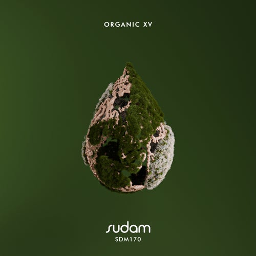 VA – Organic XV (2025)